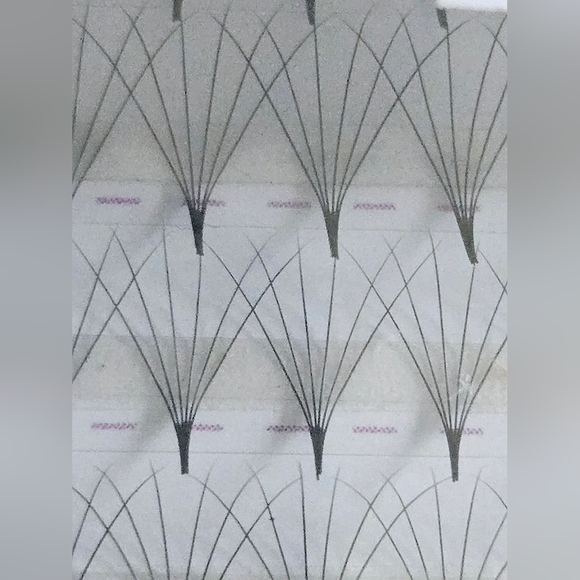 (2) NAGARAKU premade volume fan eyelash extensions. 6D (6 strands per fan) 0.07C - Picture 6 of 6